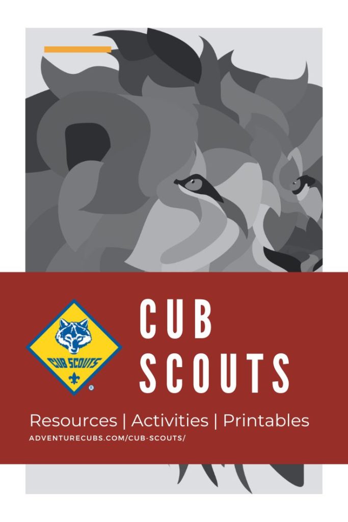 Cub Scouts - the BSA program for elementary aged children.