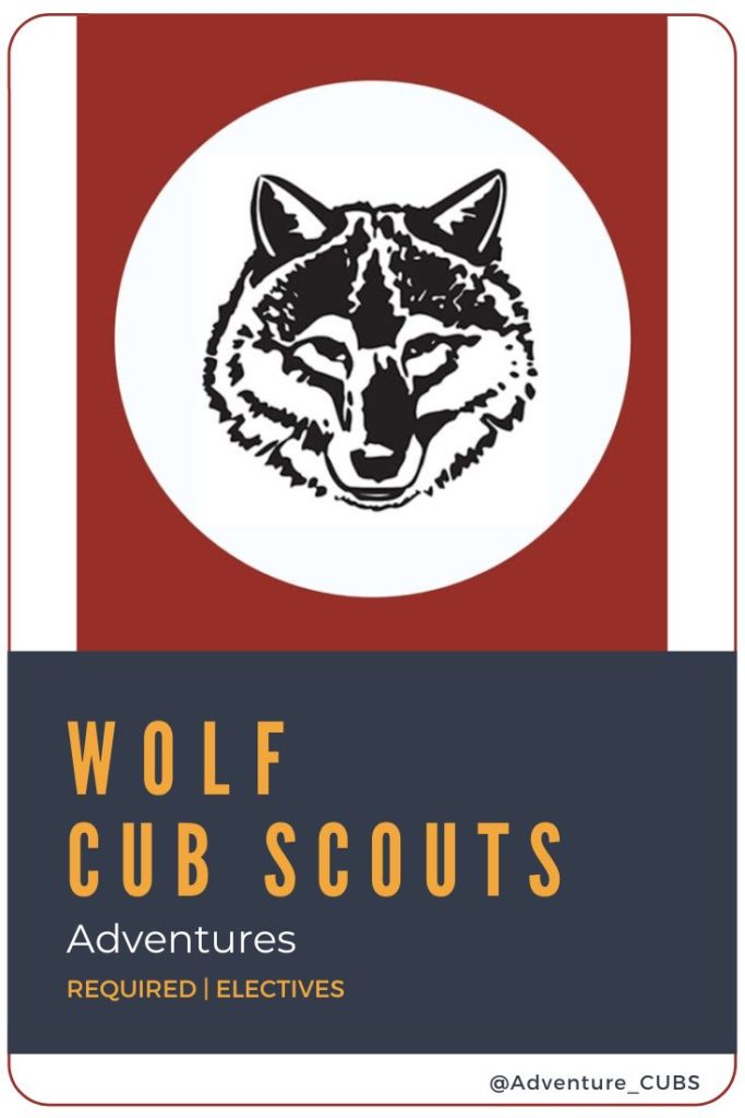Wolf Electives for Cub Scouts