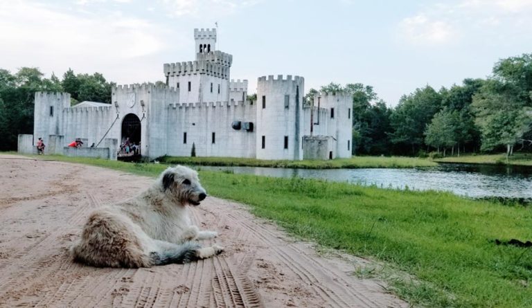 Newman’s Castle an Epic Scout Overnight