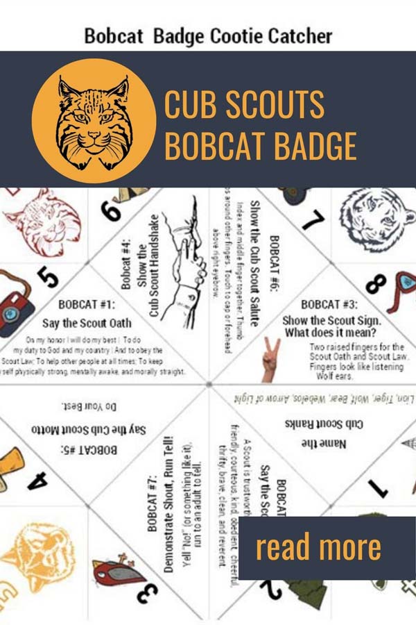 Bobcat requirements for Cub Scouts