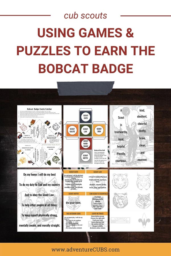 Bobcat requirements for Cub Scouts