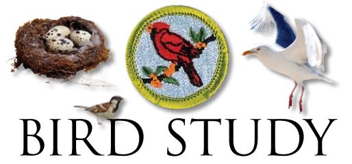 06 | Bird Study Merit Badge at Moody Gardens