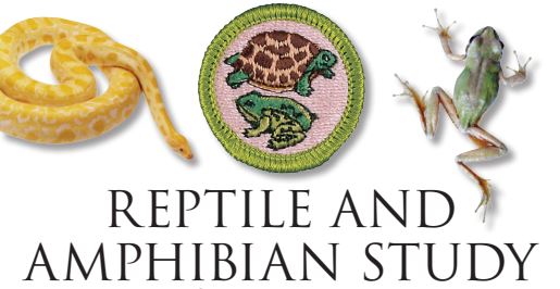 21 | Reptile and Amphibian Study Merit Badge at Moody Gardens