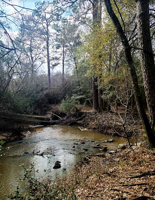 Orienteering at Spring Creek Park in Tomball Texas