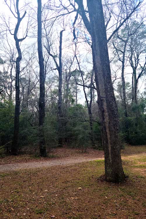 Spring Creek Park Orienteering Course Historic starting place