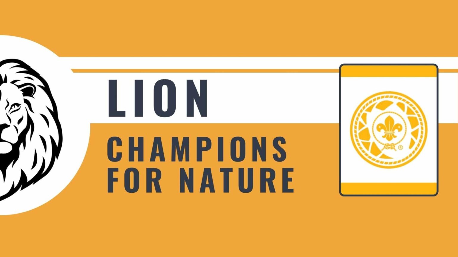 LION Champions For Nature Lion Elective Adventure Adventure CUBS
